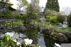 hasedera2007_45