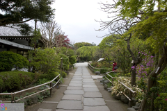 hasedera2007_46