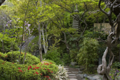 hasedera2007_47