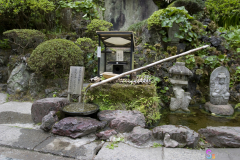 hasedera2007_48