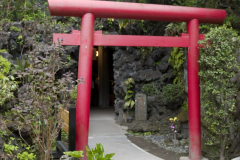 hasedera2007_49