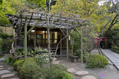 hasedera2007_50
