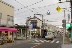 hasedera2007_52