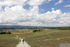 HinodePark2025_06