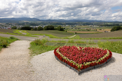 HinodePark2025_08