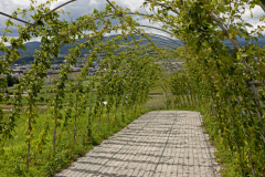 HinodePark2025_13