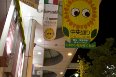 Hiroshima2008-01_11