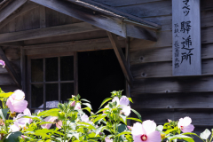 HistoricalVillage2025_61