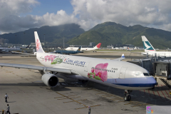 hkairport2008_13