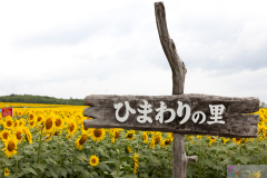 Hokuryu2025_01