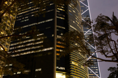 HKPark2025_12