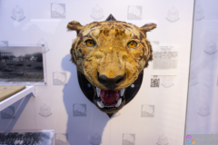 PoliceMuseum2025_08