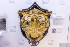 PoliceMuseum2023_05