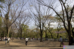 Inokashira2007_01