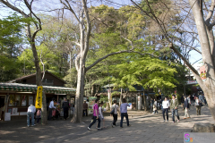 Inokashira2007_03