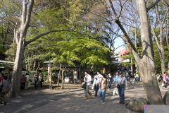 Inokashira2007_04
