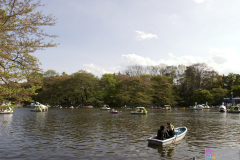 Inokashira2007_05