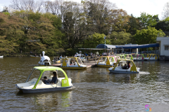 Inokashira2007_07