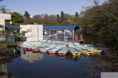 Inokashira2007_12