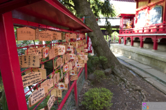Inokashira2007_20