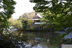 Inokashira2007_25