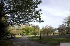 Inokashira2007_26