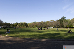 Inokashira2007_28