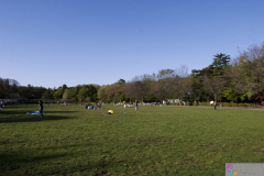 Inokashira2007_31