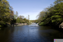Inokashira2007_34