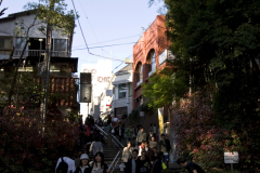 Inokashira2007_37