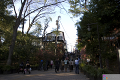 Inokashira2007_38