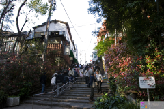 Inokashira2007_40