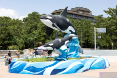 KamogawaSeaWorld2024_01