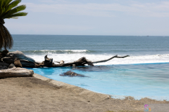 KamogawaSeaWorld2024_05