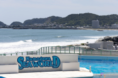 KamogawaSeaWorld2024_07