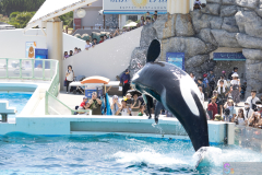 KamogawaSeaWorld2024_17