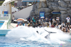 KamogawaSeaWorld2024_18