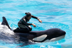 KamogawaSeaWorld2024_29