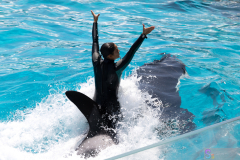 KamogawaSeaWorld2024_31
