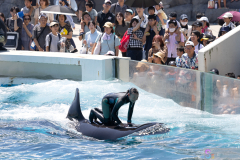 KamogawaSeaWorld2024_33
