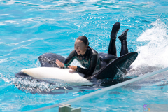 KamogawaSeaWorld2024_35