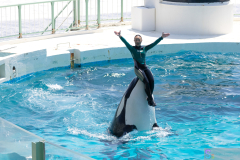 KamogawaSeaWorld2024_36