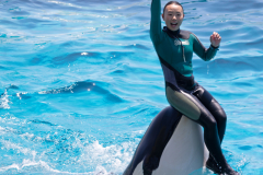 KamogawaSeaWorld2024_37
