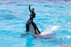 KamogawaSeaWorld2024_39