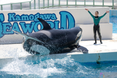 KamogawaSeaWorld2024_40
