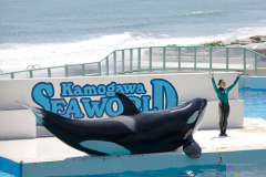 KamogawaSeaWorld2024_42