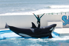 KamogawaSeaWorld2024_50