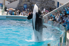 KamogawaSeaWorld2024_51