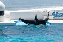 KamogawaSeaWorld2024_52