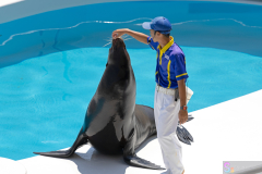 KamogawaSeaWorld2024_53